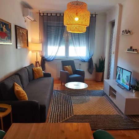 Ema Central Apartment Novi Sad Bagian luar foto