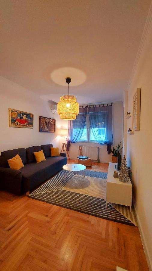 Ema Central Apartment Novi Sad Bagian luar foto