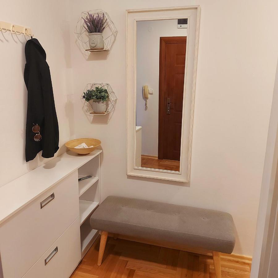 Ema Central Apartment Novi Sad Bagian luar foto