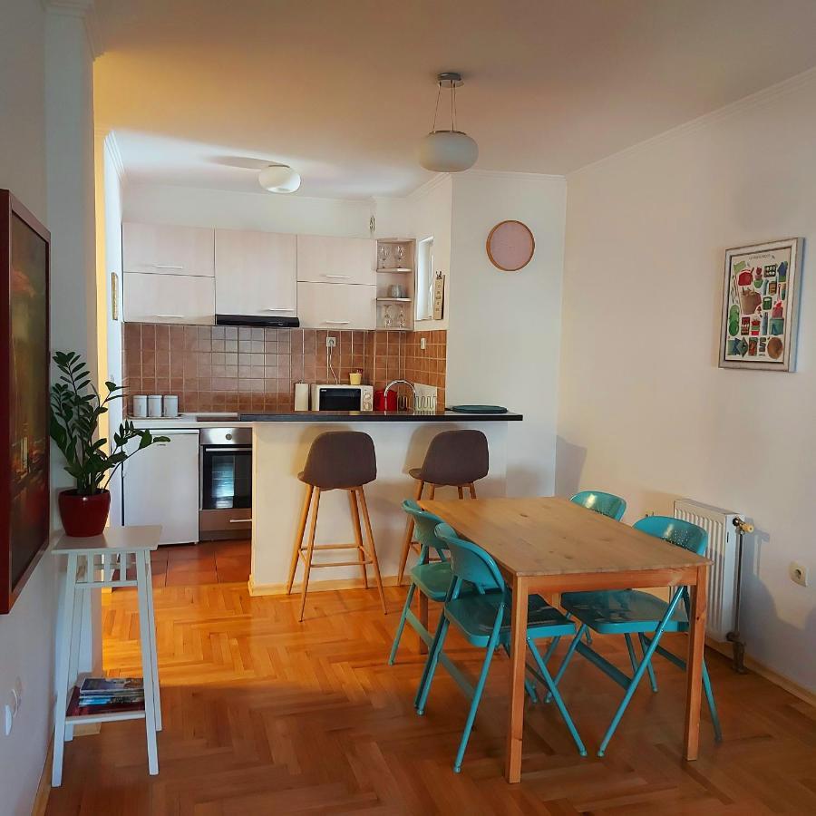 Ema Central Apartment Novi Sad Bagian luar foto