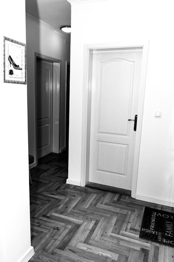 Ema Central Apartment Novi Sad Bagian luar foto