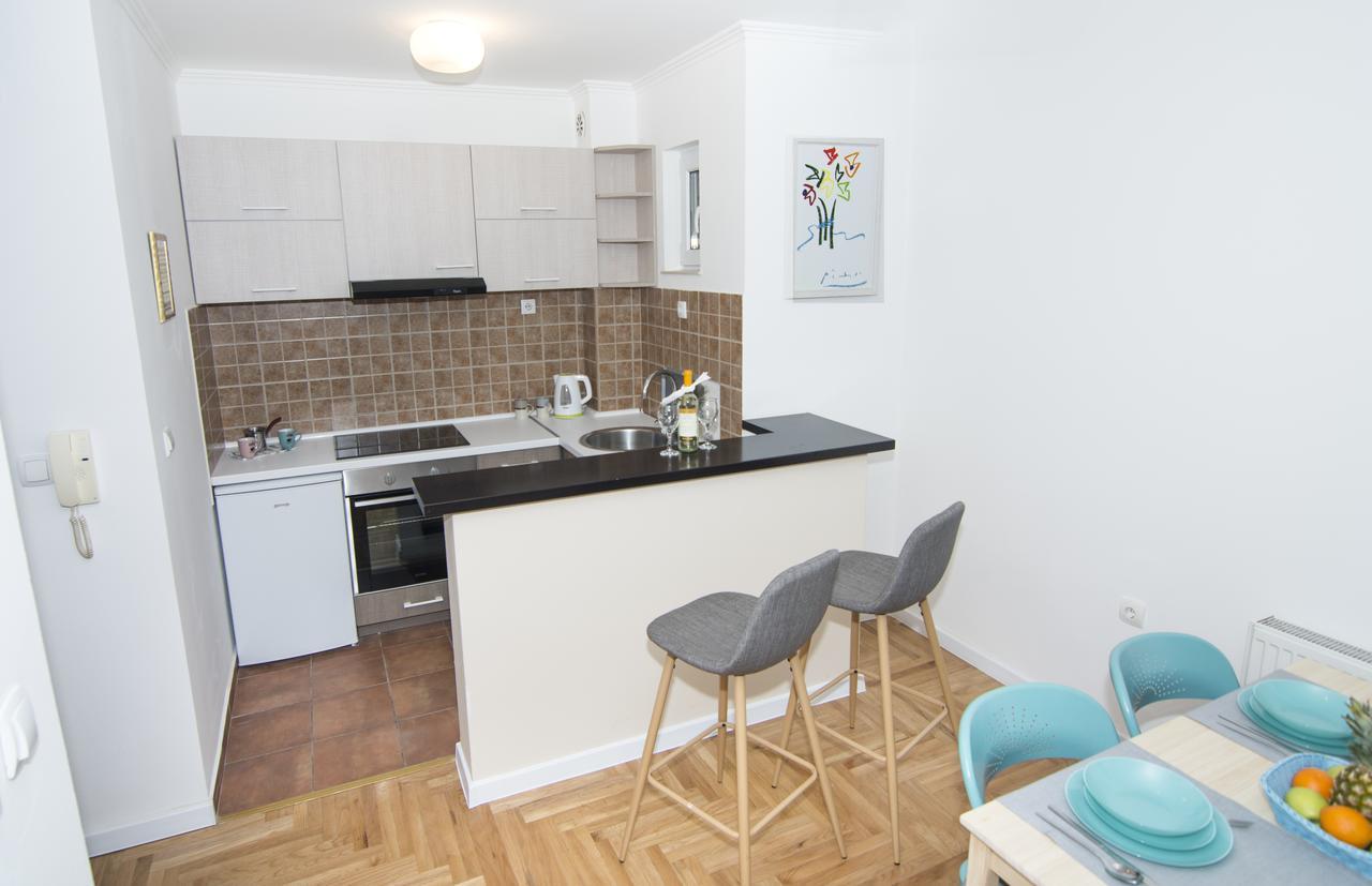 Ema Central Apartment Novi Sad Bagian luar foto